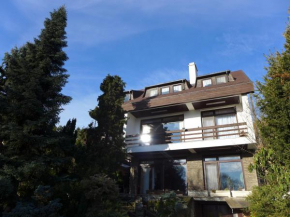 Lakeside Apartment, Tihany